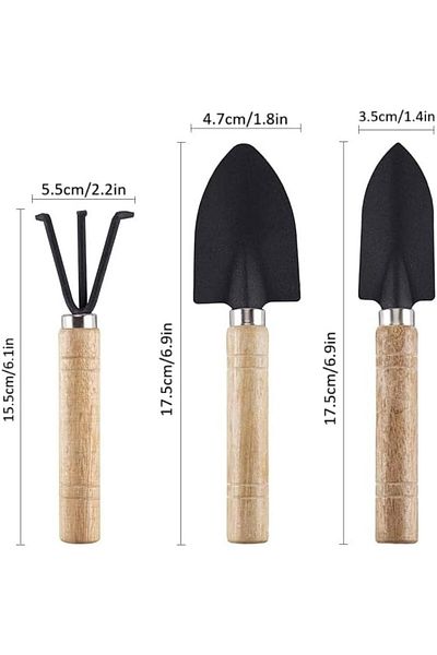 Goishtrie Small Garden Tools Set With Wooden Handle - Durable & Handheld For Small Plants(SET OF 3)
