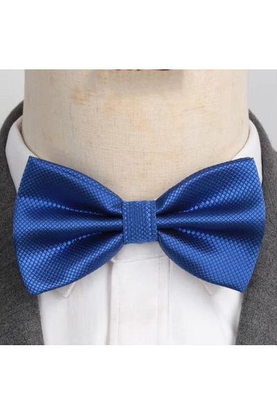 delis Papion pentru barbati, PP054, Albastru regal