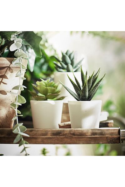 IKEA Artificial Plant with Pot, Indoor and Outdoor Succulent Tree, 6 cm 3 pieces