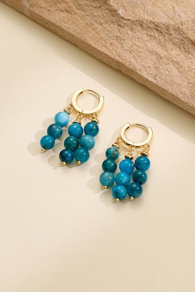 New Obsessions Blue Natural Stone Dangle Women's Earrings