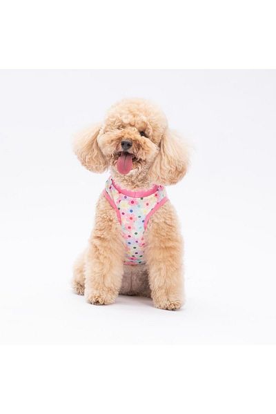 Pawstar Spring Flowers Cat Dog T-Shirt - Cat Dog Apparel