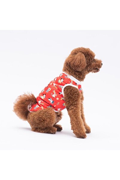 Pawstar Holiday Dogs Kedi Köpek Tişörtü - Kedi Köpek Kıyafeti