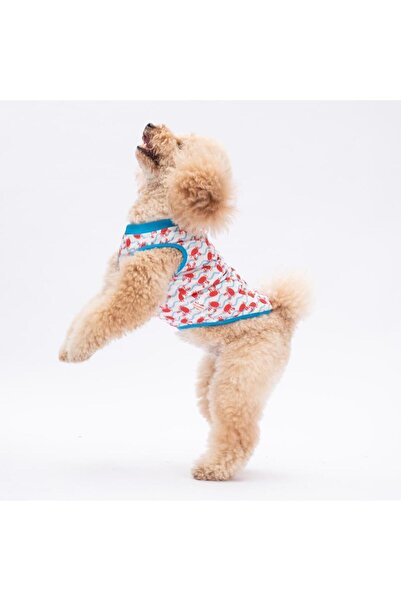 Pawstar Fun Crabs Kedi Köpek Tişörtü - Kedi Köpek Kıyafeti