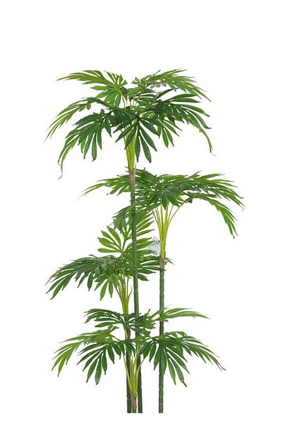 Generic Artificial palm tree (4 branches) with a cylindrical plastic stand
