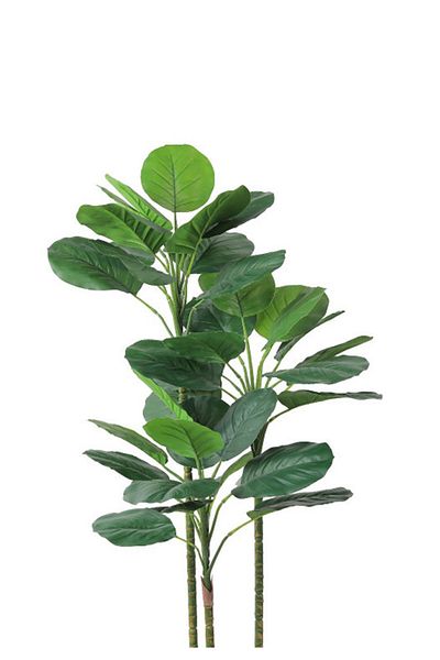 Generic Artificial Vius Umbellata Tree in a Plastic Cylinder Pot