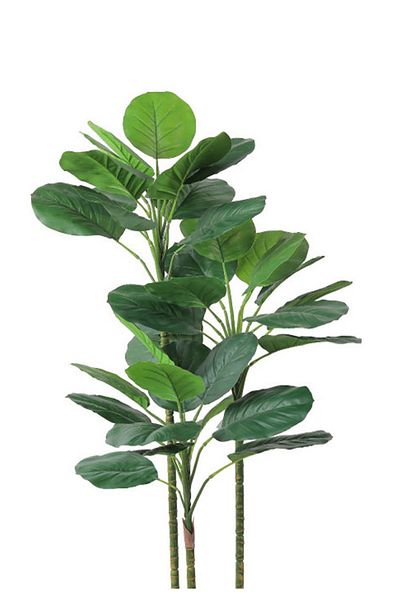 Generic Artificial Vius Umbellata Tree in a Plastic Cylinder Pot