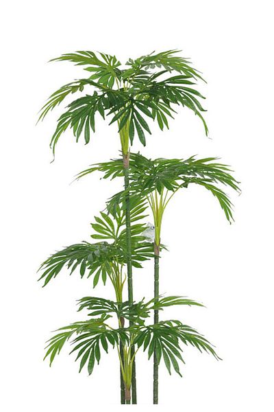 Generic Artificial palm tree (4 branches) with a cylindrical plastic stand