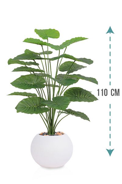 Generic Artificial Alocasia Heart Leaf Seedling in Round Plastic Pot