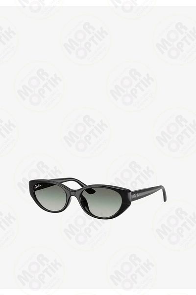 Ray-Ban Rb4457D 6677/87 (55 You)