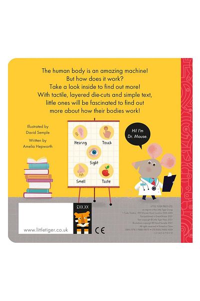 LITTLE TIGER How It Works - the Body