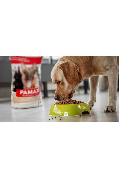 Pamax Hrana Uscata Echilibrata Pentru Caini Adulti, 10kg