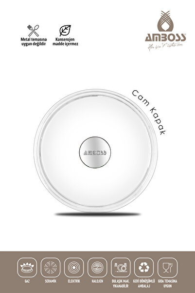 Amboss One Piece Cast 20 cm Titanium Coated Deep Pot with Glass Lid