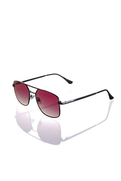 AR COLLECTİON Plus Men Metal Sunglasses Ar241 C2
