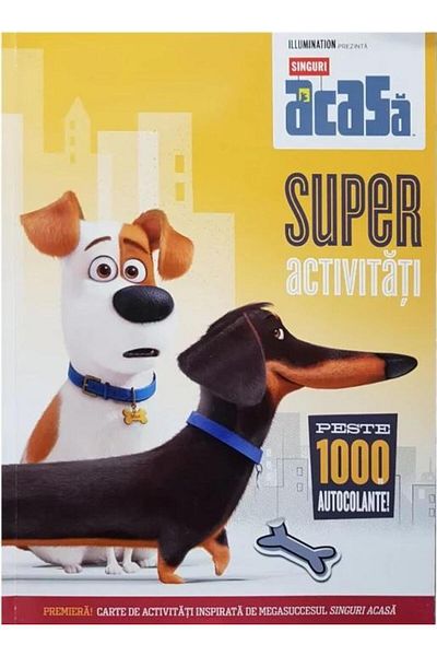 Editura Litera Home Alone. Super Activities. Over 1000 Stickers
