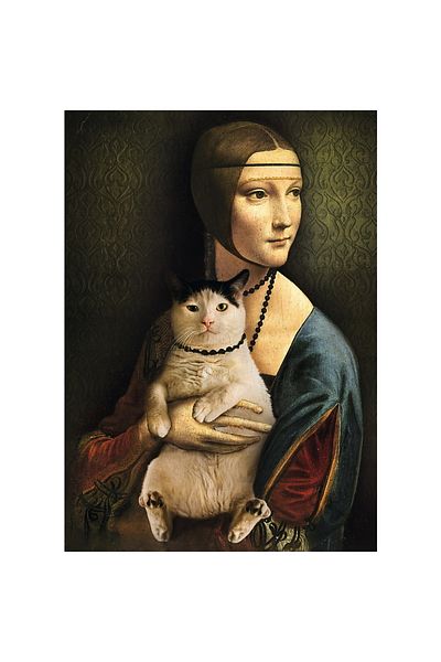 Trefl Puzzle 1000 Doamnă cu pisică