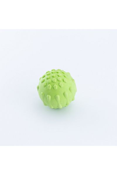 Bimotif Cat dog biting ball, green