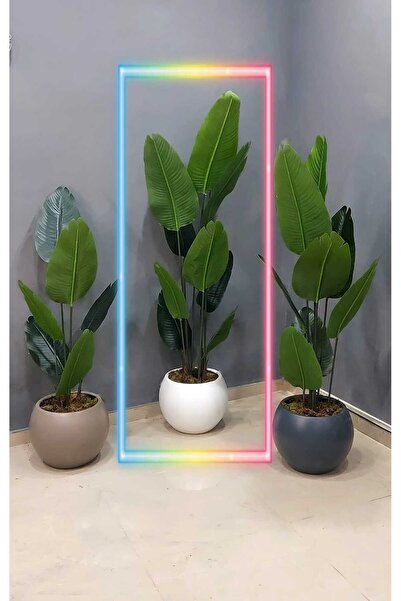 İremÇiçekçilik Plastik Küre saksıda Yeni Starliçe - 10 yapraklı