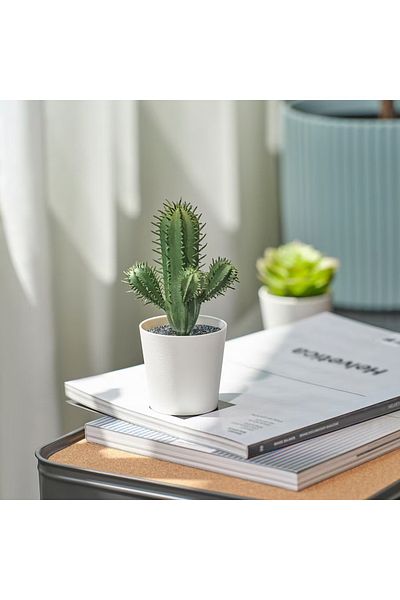 FEJKA 3 Pieces Artificial Plant in Pot, Indoor/Outdoor Cactus, 14 x 6 cm