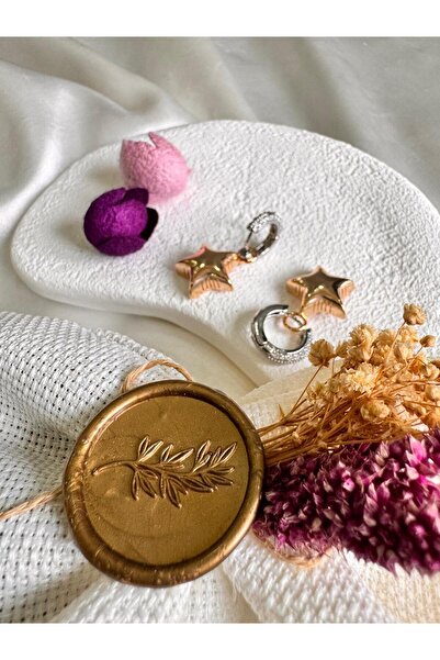 H&S AKSESUAR Gold Stone Detailed and Curved Star Earrings