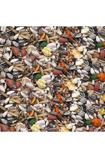 Manitoba Supplementary Food for Parrots by Manitoba 800g