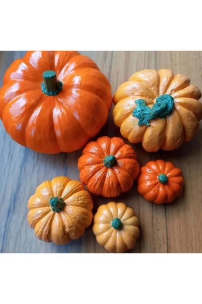 pelikan sanat Dekoratif Kabak 6'lı Vernikli