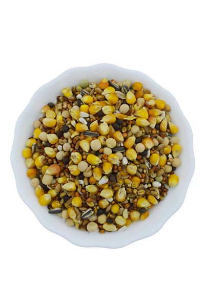 Birdwe مزيج طعام الطيور والحمام 1 كجم