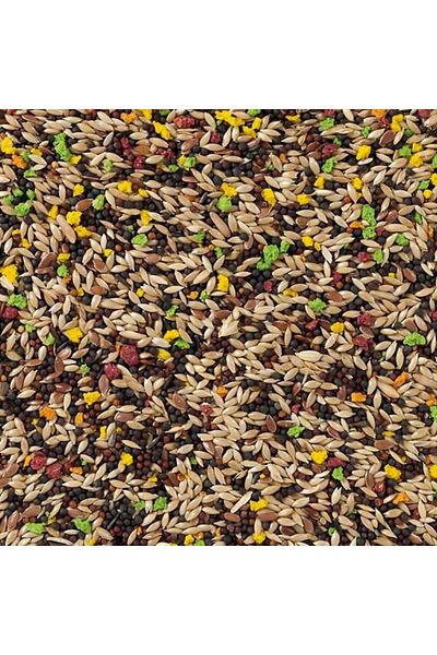 Birdwe Canary Mix with Vitamins - Daily Nature 20 kg
