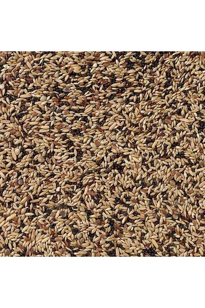 Deli Nature Daily Nature Mixed Canary Food 20 kg