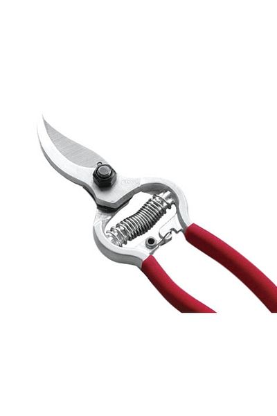 MR RZN STORE Vineyard Shears - Garden Shears