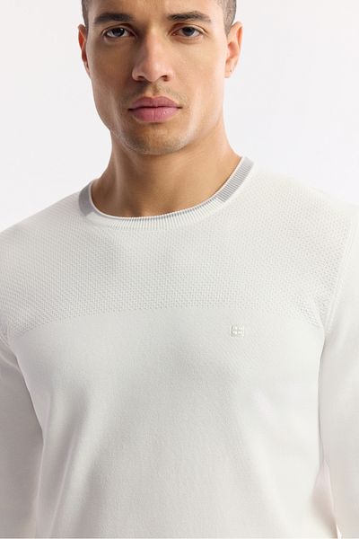 Avva Men's Ecru Crew Neck Textured Rayon Knitwear Sweater A51Y5156