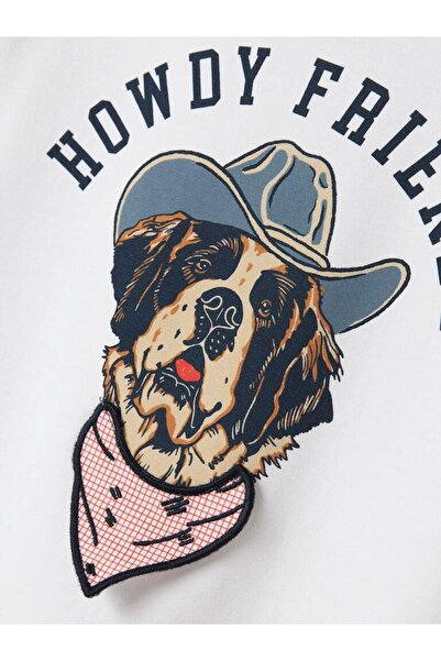 name ıt Nmmhasse Nreg Ss Top