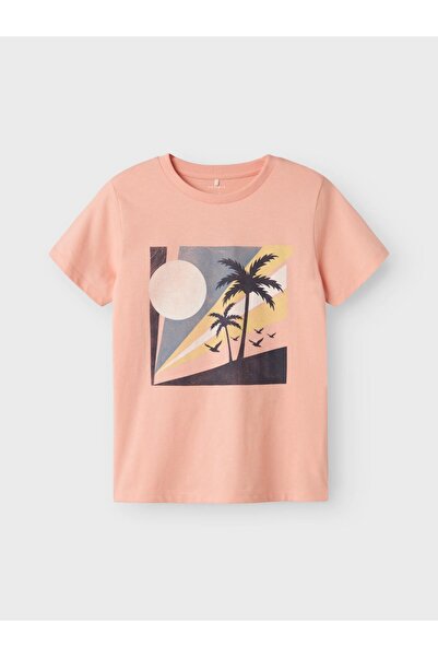 name ıt Nkmfalian Ss Top Ps