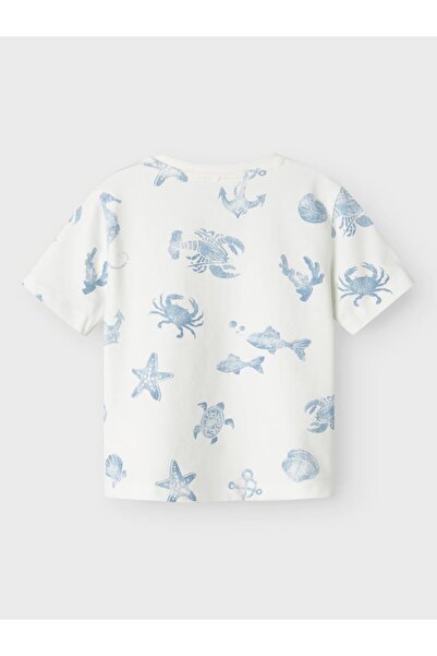 name ıt Nmmfille Ss Top Box