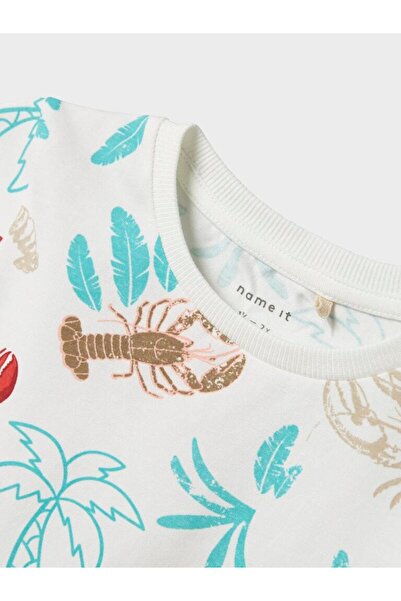 name ıt Nmmfelen Ss Top