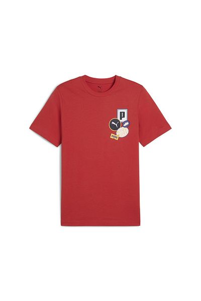 Puma Graphics Icon Men's Red Round Neck T-Shirt