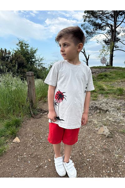 Pollito Boy's Palm Tree Printed T-Shirt Shorts Set of 2