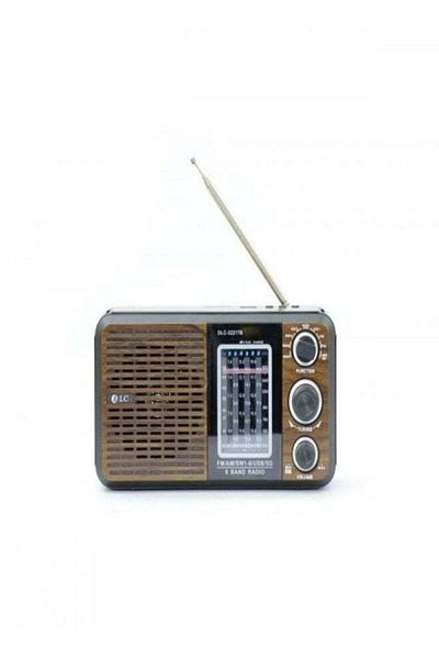 DLC Portable radio with bluetooth