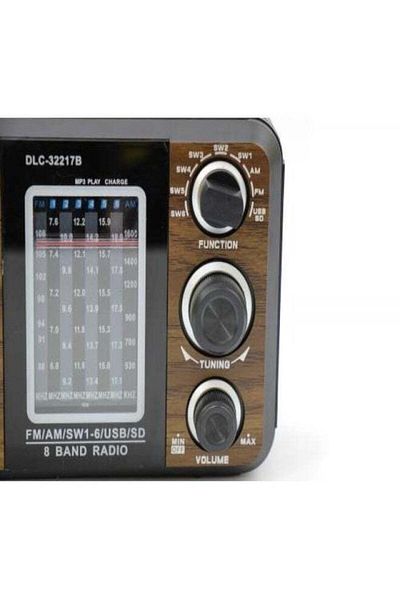 DLC Portable radio with bluetooth