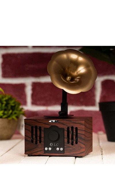 DLC Classic portable radio from DLC