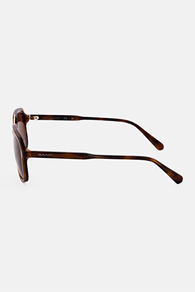 Gant Men GA00016 Aviator Sunglasses, Havana Brown