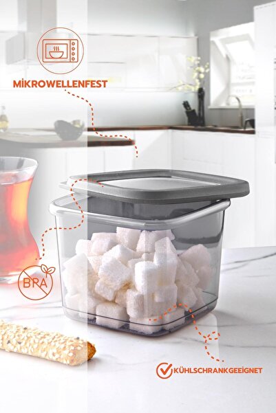 Ginza Maison FRESCA 24 PARÇA SAKLAMA KUTUSU ANTRASIT