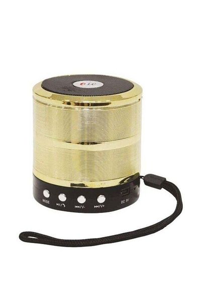 DLC مكبر صوت صغير قابل لإعادة الشحن بمنفذ USB وبطاقة SD، لون عشوائي