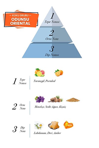 prova Bravo Edp Odunsu Erkek Parfüm 100 ml