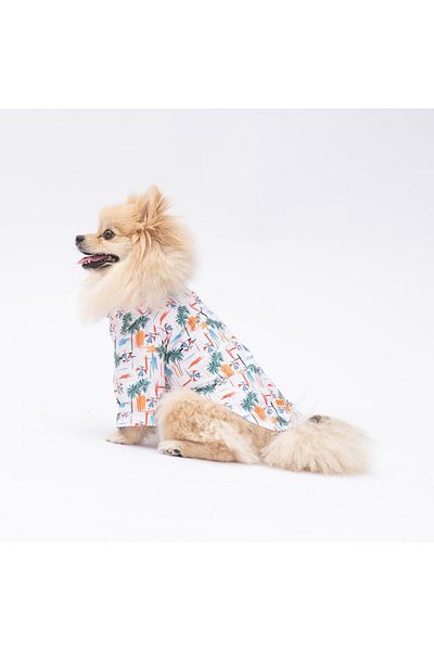 Pawstar Palm Beach Cat Dog Shirt - Cat Dog Apparel