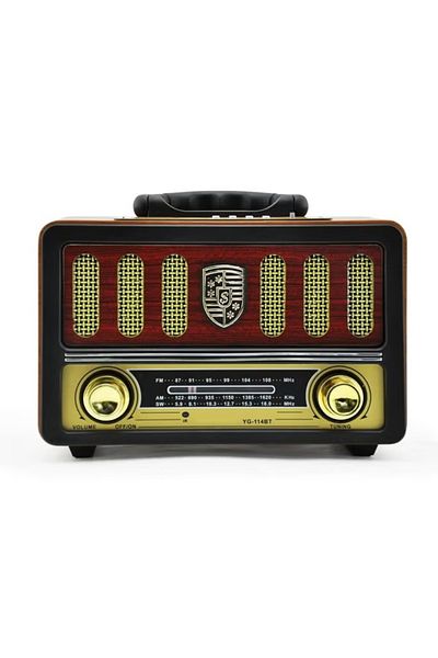 Denx Rechargeable Radio with Remote Control, Large Capacity Battery, Support Bluetooth DX2441