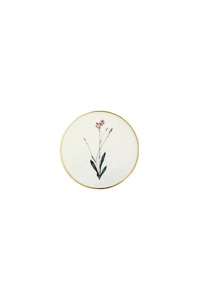 Porland Botanical 6 Coasters 10 cm