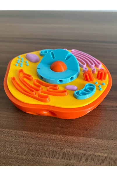 genomera Hayvan Hücresi Maketi (%20 büyütülmüş versiyonu 13,5 cm genişlik)