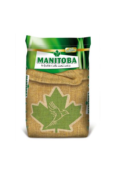 Manitoba Manitoba Sunflower Seeds Small 12.5 kg