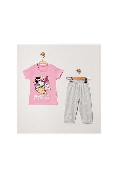 TRENDİMİZBİR Girl's Cute Characters Printed Pink Short Sleeve T-Shirt Gray Leggings Bottom Top Set