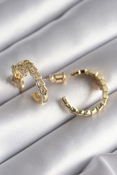 Skygo Brass Silver Color Zircon Cubic Zirconia Snake Model Women's Earrings - TJ-BKP8623